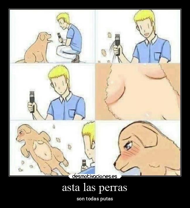 asta las perras -