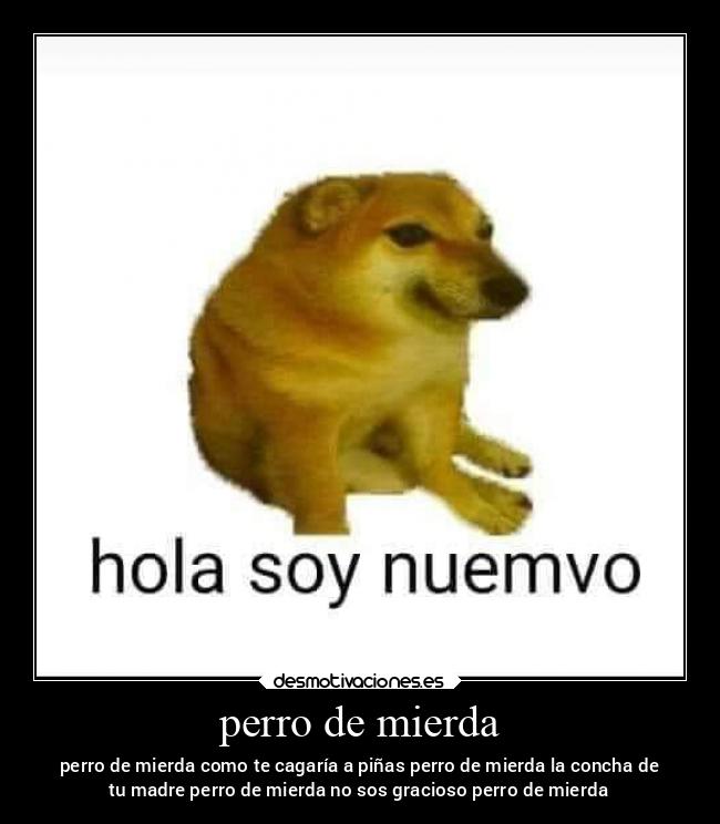 carteles tonto mierda desmotivaciones