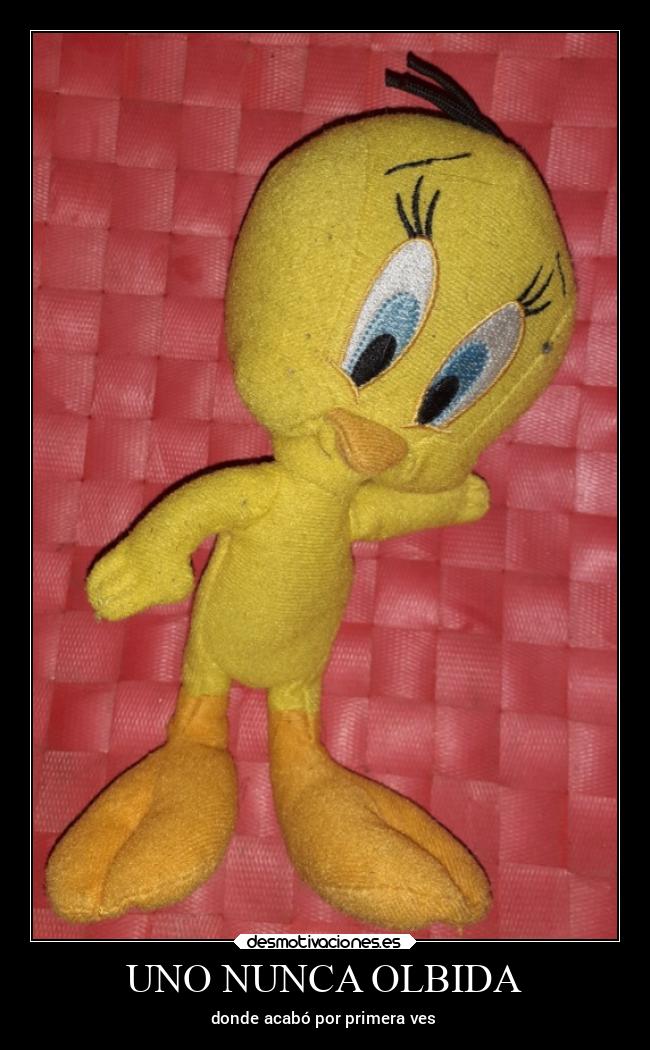 carteles tonto tetas primera paja con tweetie joder como excita pajara desmotivaciones