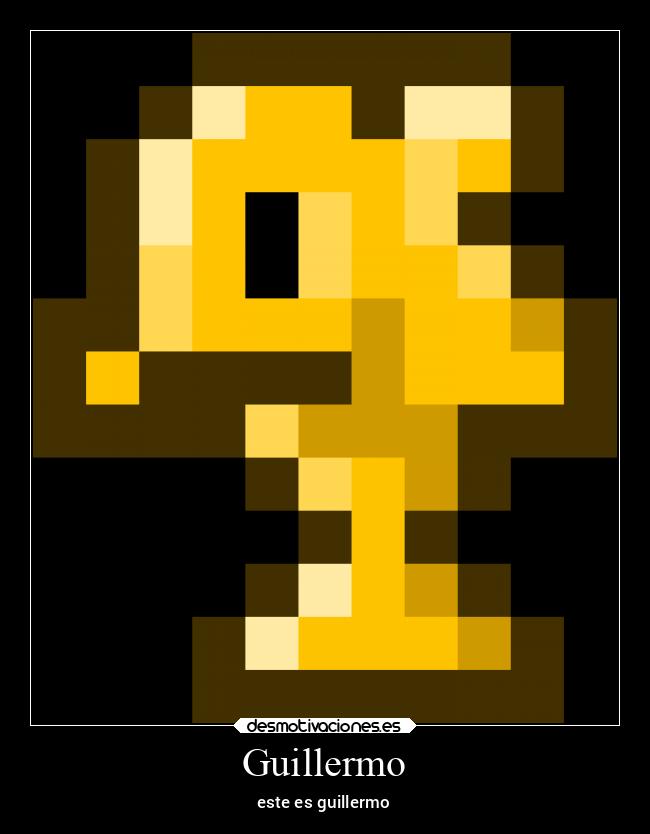 Guillermo - 
