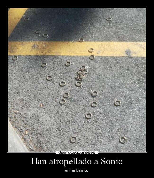 Han atropellado a Sonic - 