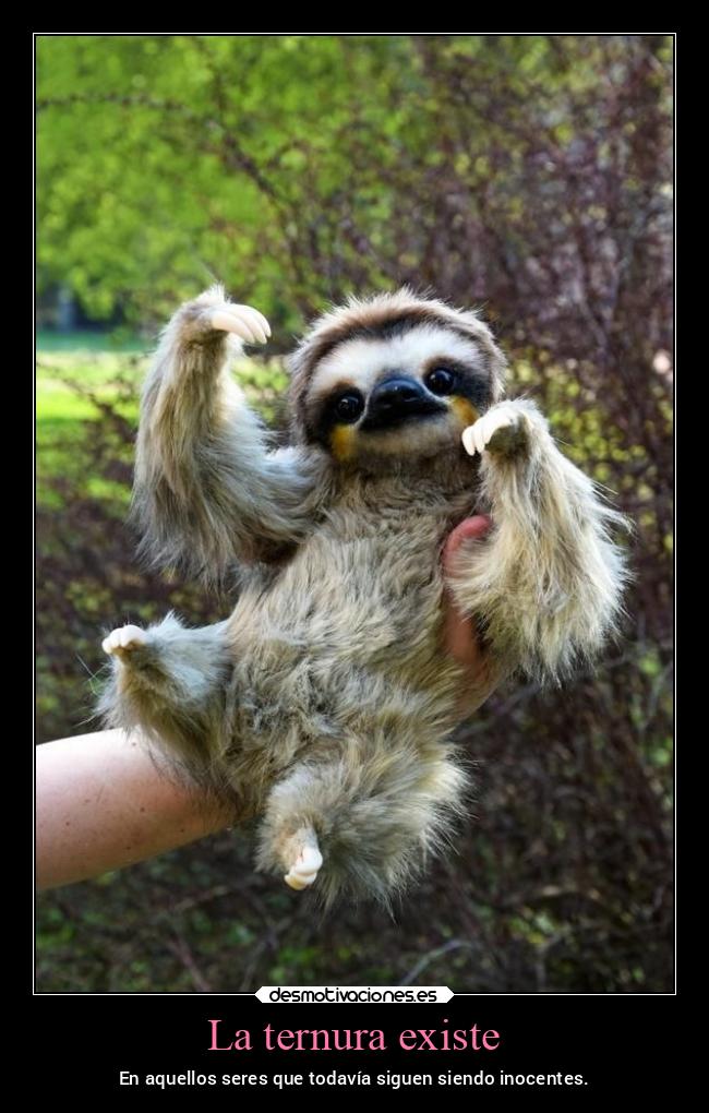 La ternura existe - 