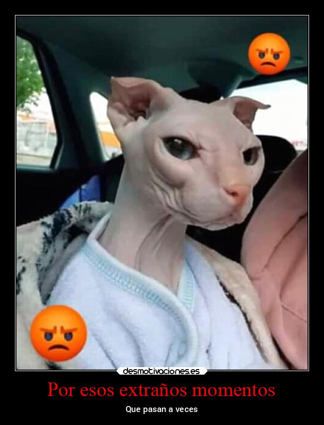 Por esos extraños momentos - 