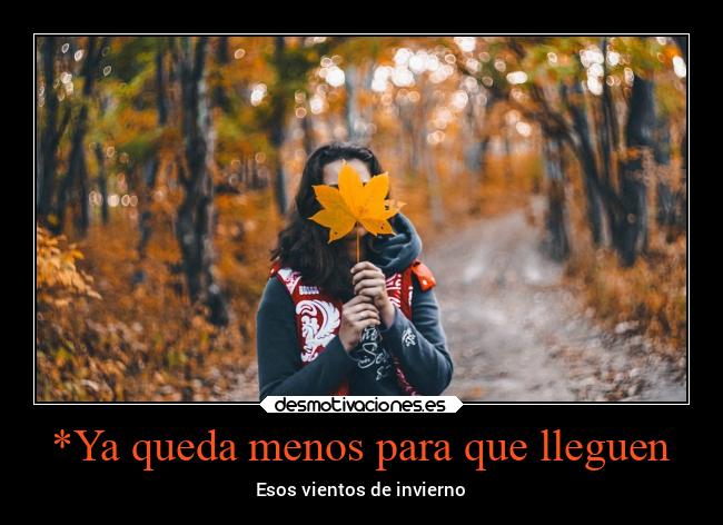 *Ya queda menos para que lleguen - 