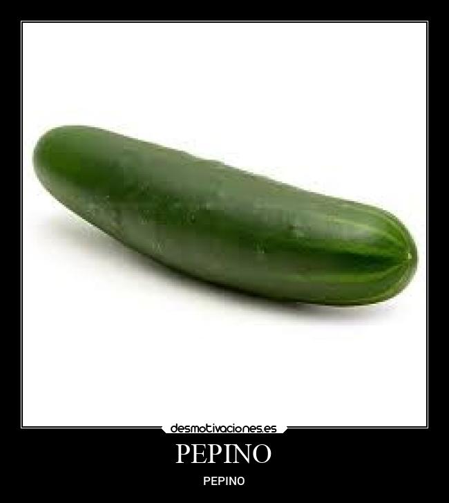 PEPINO -