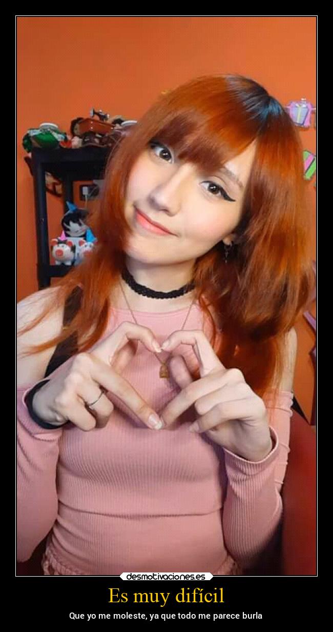 carteles amigos animales ayuda lorddesamororiginal desmotivaciones