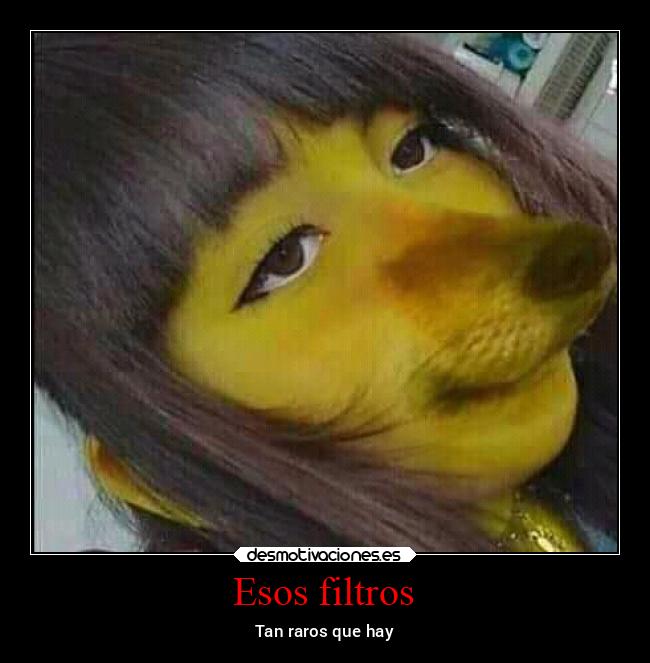 carteles amigos animales ayuda lorddesamororiginal desmotivaciones