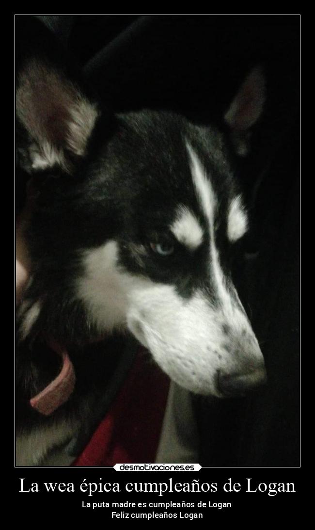 La wea épica cumpleaños de Logan - La puta madre es cumpleaños de Logan
Feliz cumpleaños Logan