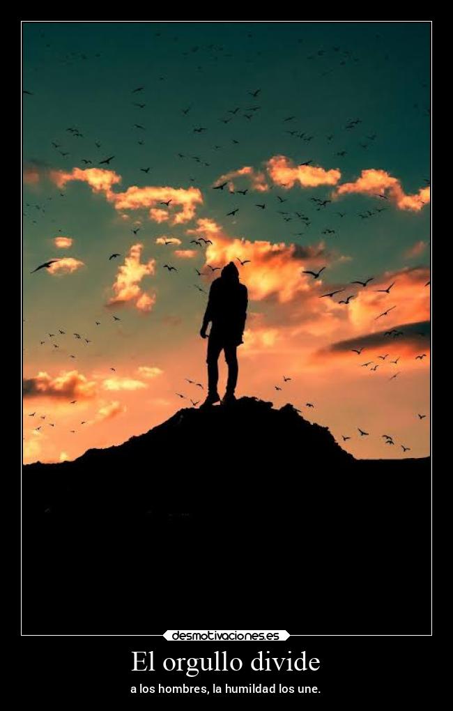El orgullo divide - 