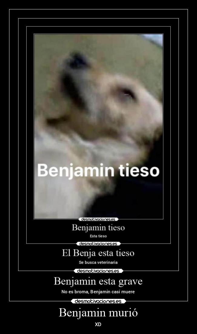 Benjamin murió - XD