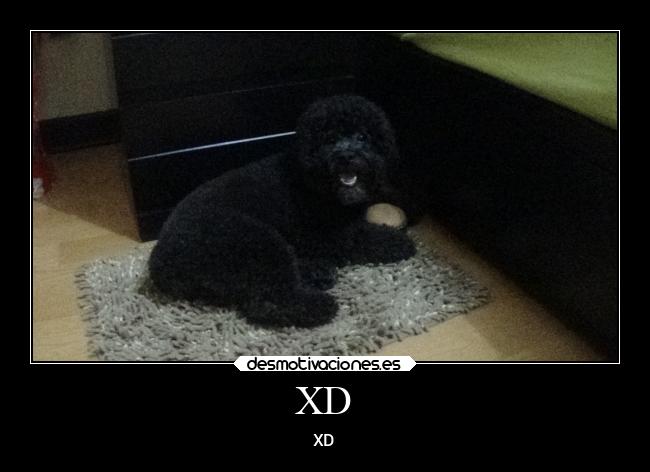 carteles amistad desmotivaciones