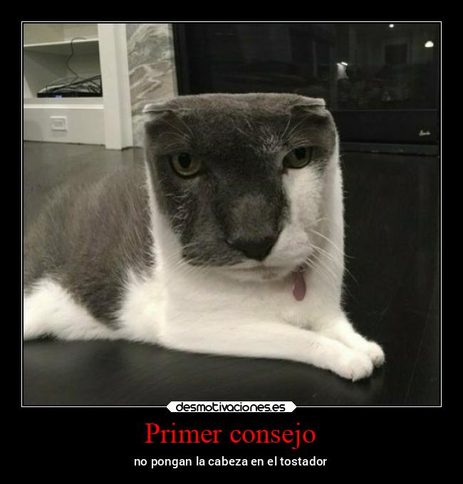 carteles amistad xdddddddddddddddddddddddddddddddddddddddddddddddd desmotivaciones