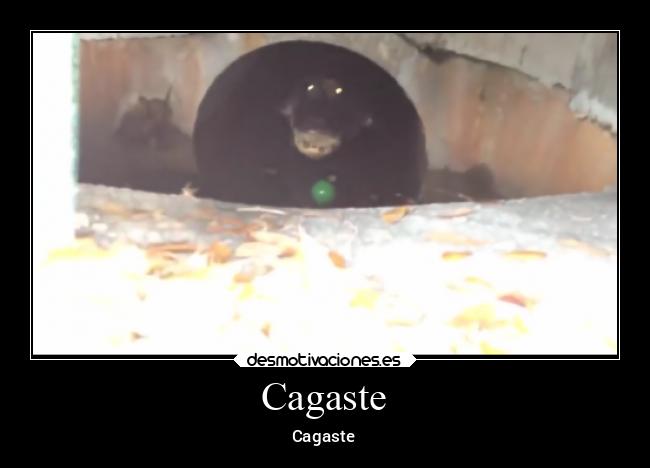 carteles animales desmotivaciones