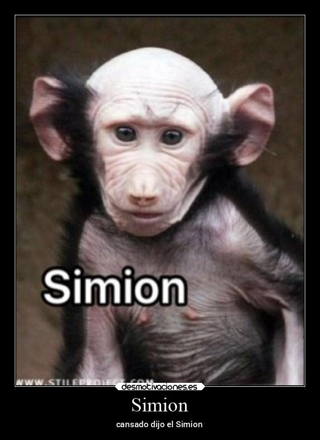 carteles animales desmotivaciones