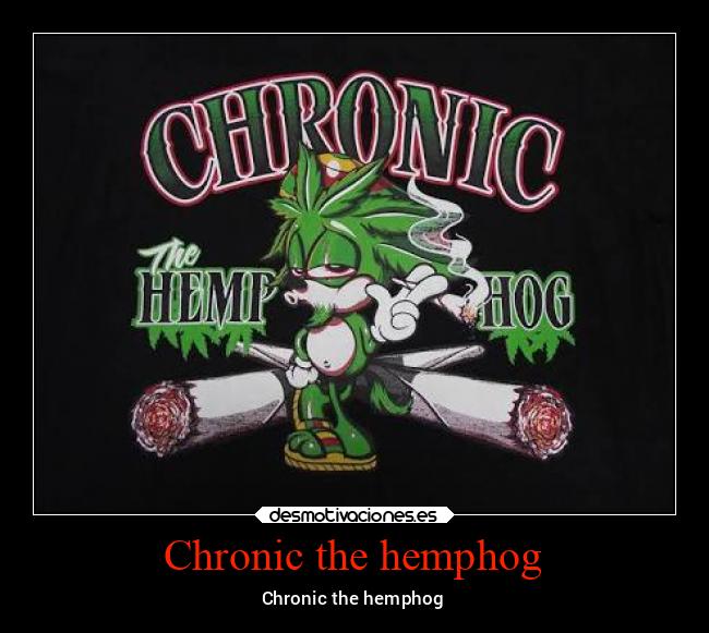 Chronic the hemphog -