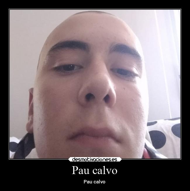 carteles anime calvo desmotivaciones