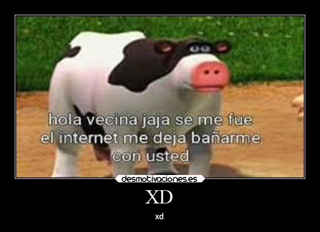 XD - xd