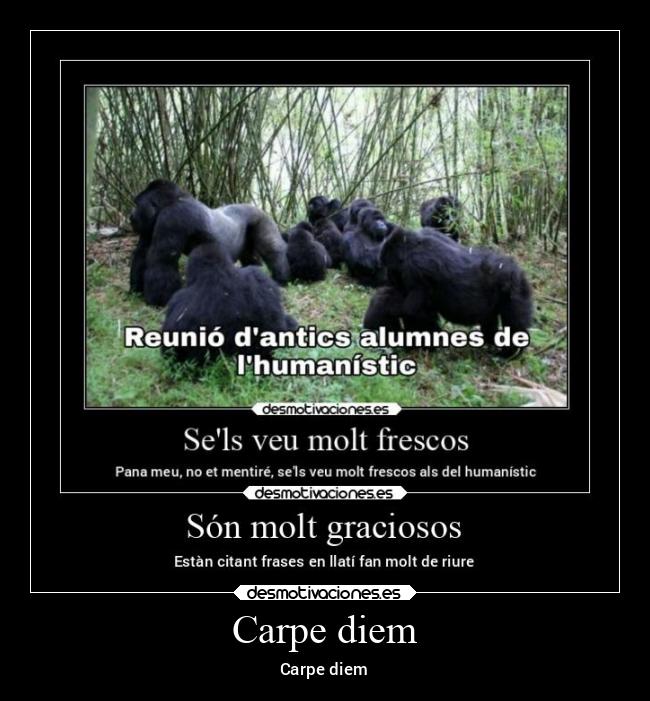 carteles anime desmotivaciones