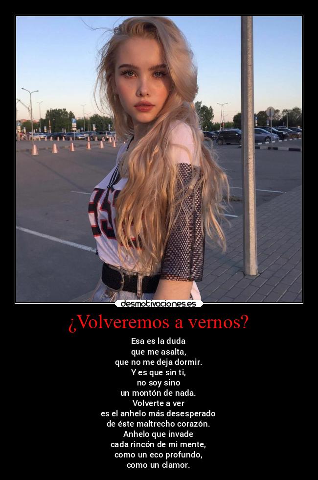 ¿Volveremos a vernos? - Esa es la duda
que me asalta,
que no me deja dormir.
Y es que sin ti,
no soy sino
un montón de nada.
Volverte a ver
es el anhelo más desesperado
de éste maltrecho corazón.
Anhelo que invade
cada rincón de mi mente,
como un eco profundo,
como un clamor.