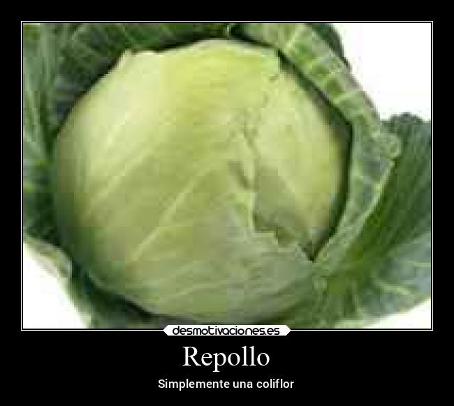 Repollo - Simplemente una coliflor