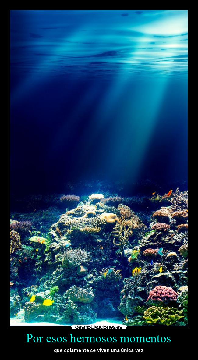 Por esos hermosos momentos -