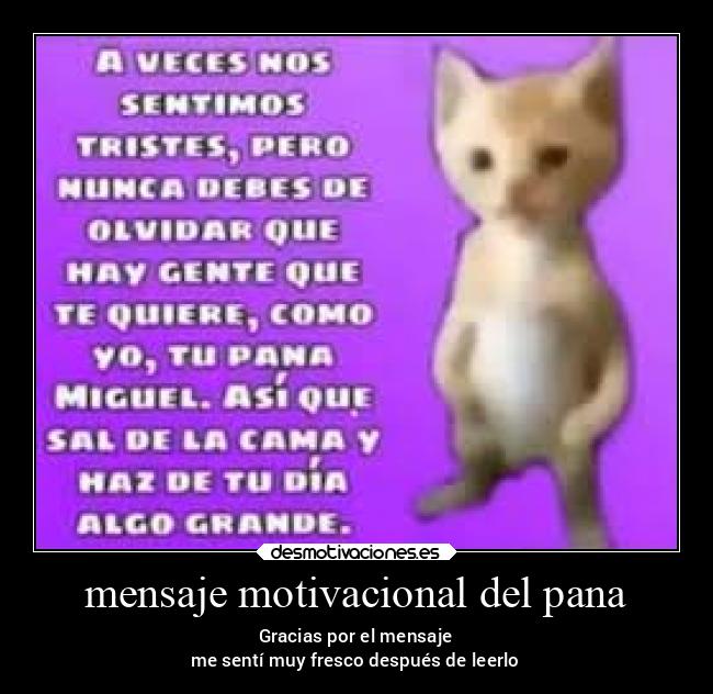 carteles ayuda desmotivaciones