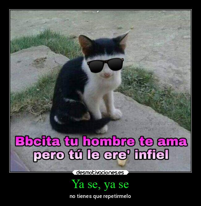 carteles ayuda xdddddddddddddddddddddddddddddddddddddddddddddddd desmotivaciones