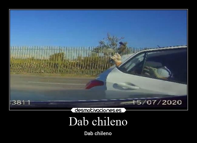 Dab chileno - Dab chileno