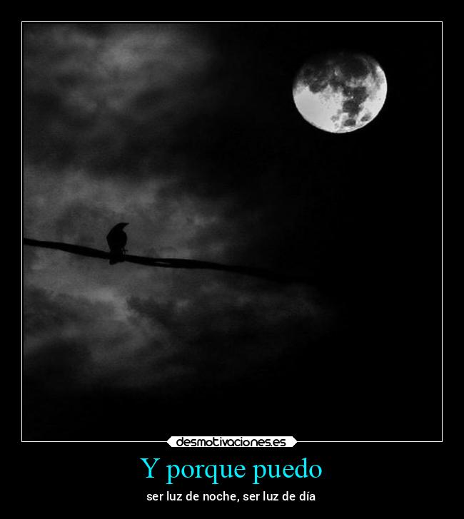 carteles chiste corazon cine hipster fisico felicidad humor desmotivaciones