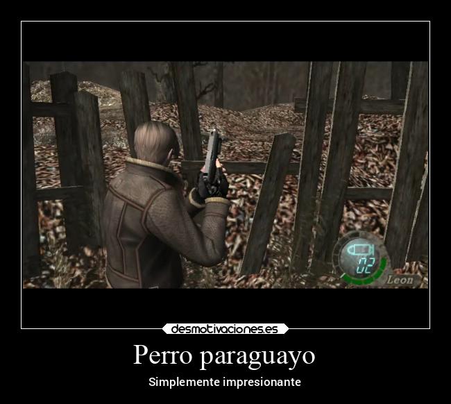 Perro paraguayo - Simplemente impresionante