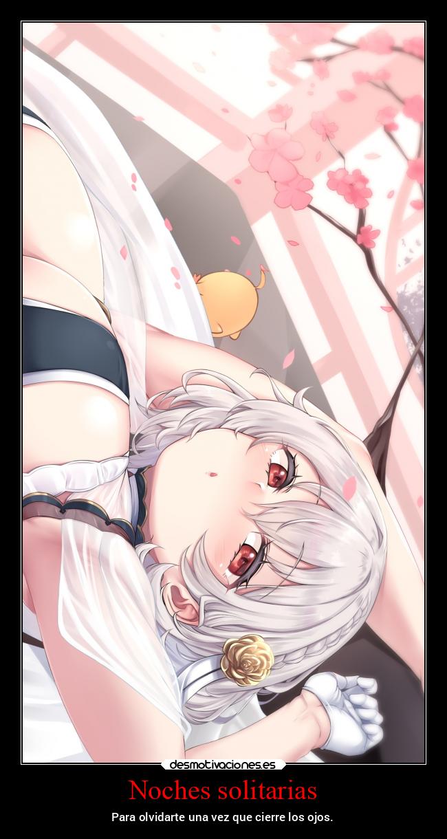 Noches solitarias - 