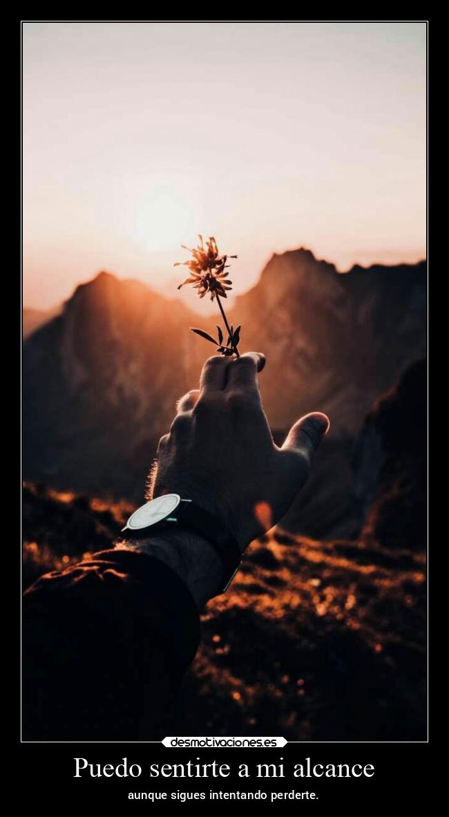 Puedo sentirte a mi alcance - 