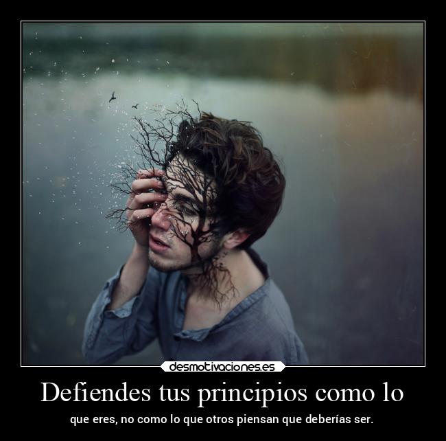 Defiendes tus principios como lo - que eres, no como lo que otros piensan que deberías ser.