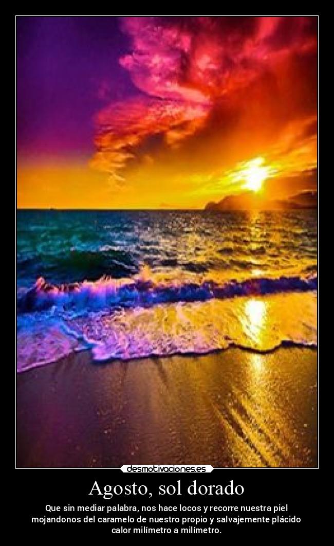 carteles felicidad libertad verano vida mundo disfrutar desmotivaciones