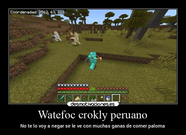 Watefoc crokly peruano -