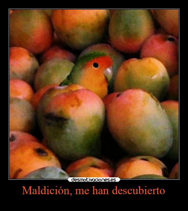 Maldición, me han descubierto -