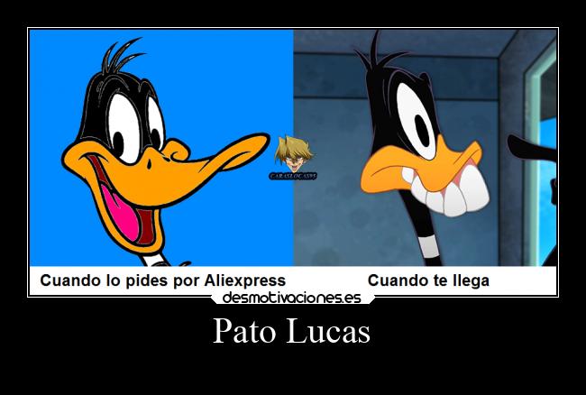 carteles humor desmotivaciones