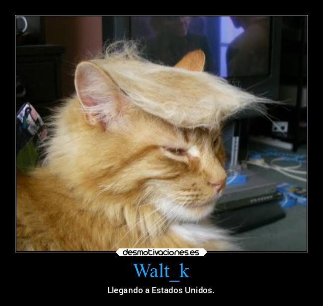 Walt_k - Llegando a Estados Unidos.