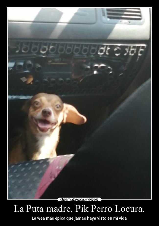 La Puta madre, Pik Perro Locura. - La wea más épica que jamás haya visto en mí vida