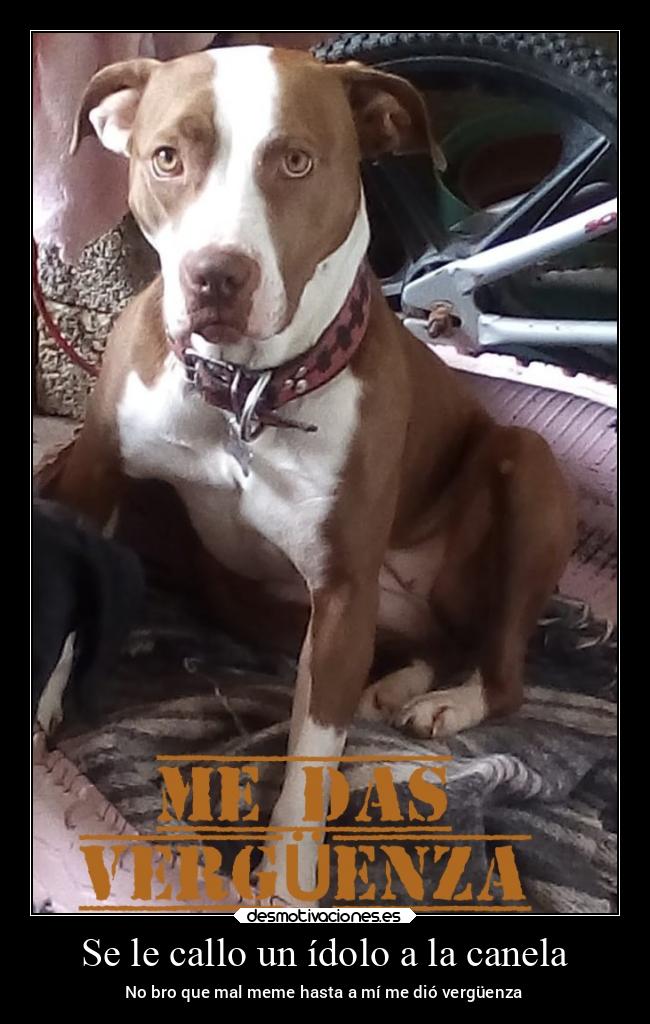 carteles memes desmotivaciones