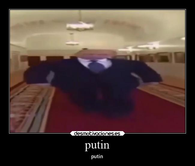 putin - putin