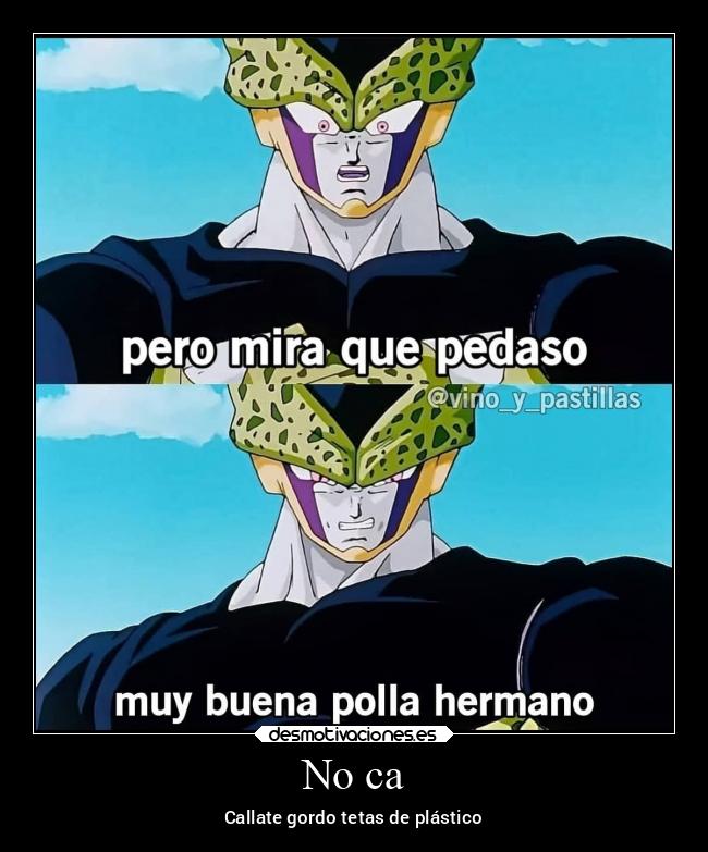 No ca - Callate gordo tetas de plástico