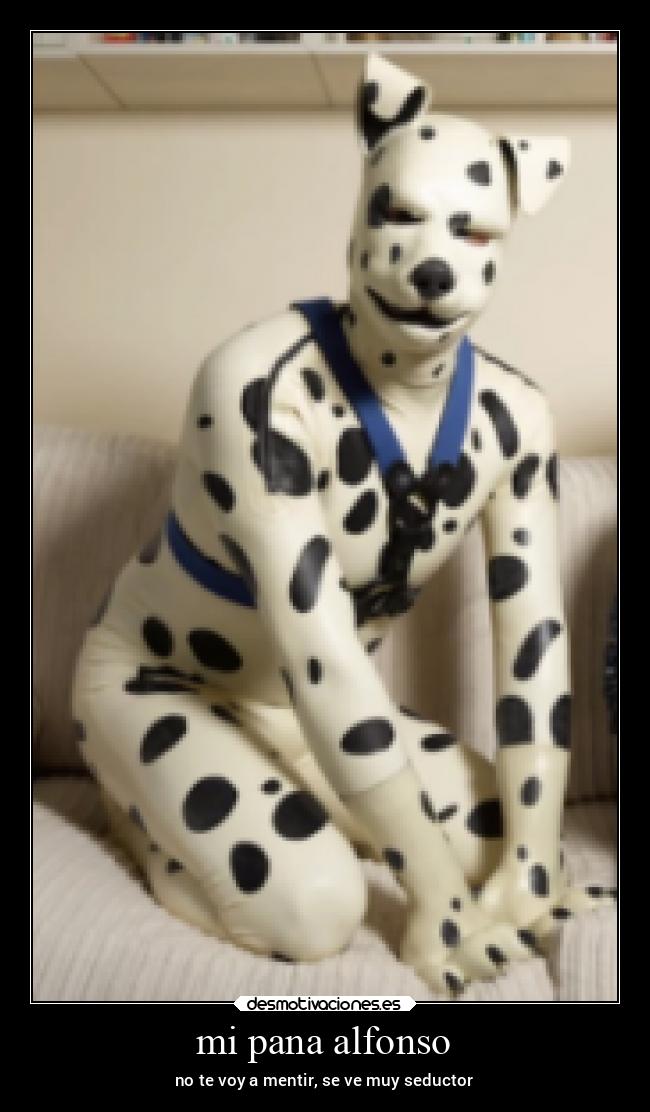 carteles memes desmotivaciones