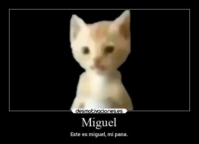 carteles memes desmotivaciones