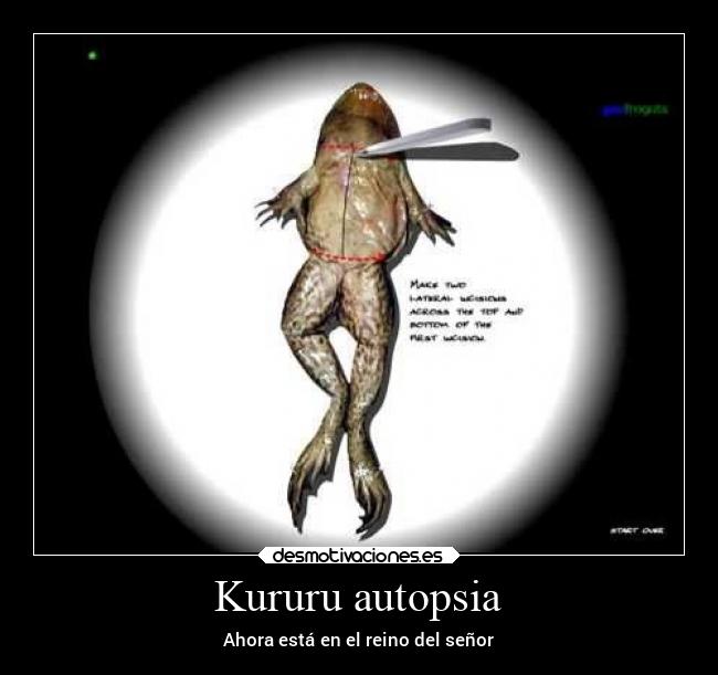 Kururu autopsia - Ahora está en el reino del señor