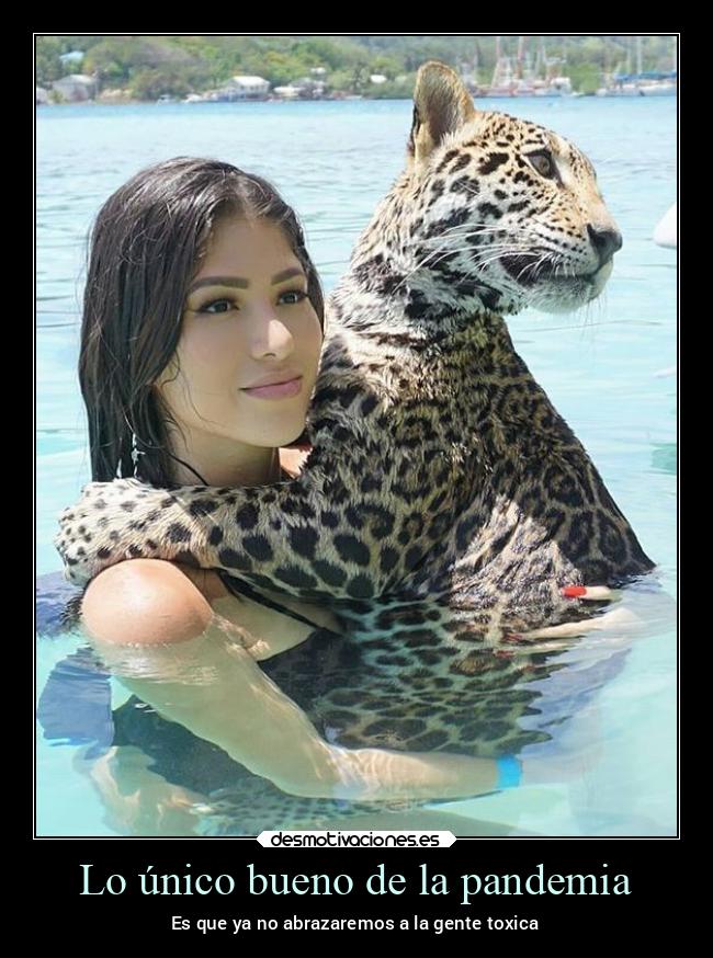 carteles mundo ausencia verano crisis desmoverano2020 desmotivaciones