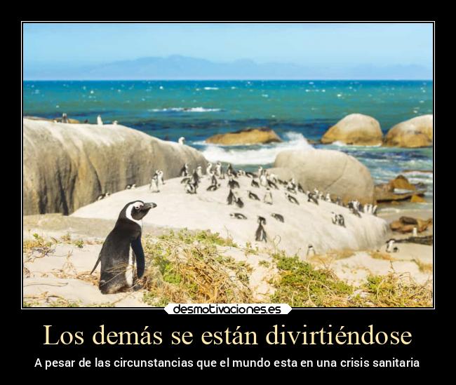 Imágenes y Carteles de CIRCUNSTANCIA Desmotivaciones