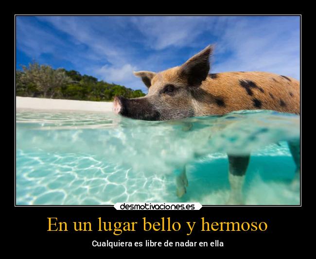 En un lugar bello y hermoso - 