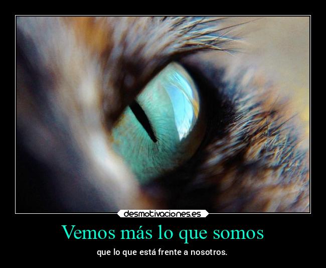Vemos más lo que somos - que lo que está frente a nosotros.