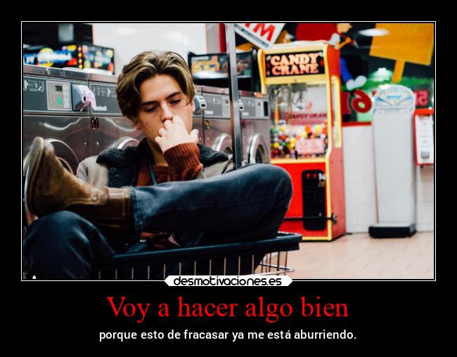 Voy a hacer algo bien - porque esto de fracasar ya me está aburriendo.